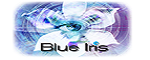 Blue Iris Coupon Codes