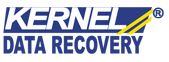 Kernel Data Recovery Coupon Codes