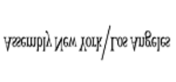 Assembly New York Coupon Codes