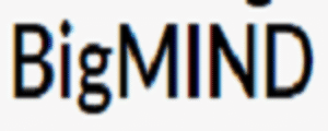 BigMIND Coupon Codes