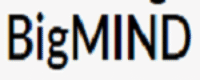 BigMIND Coupon Codes