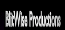BlitWise Coupon Codes