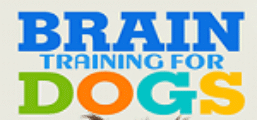 BrainTraining4Dogs Coupon Codes