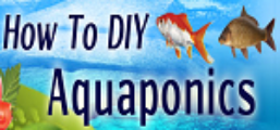 How To DIY Aquaponics Coupon Codes