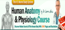 Human Anatomy Course Coupon Codes