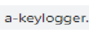 Keylogger Coupon Codes
