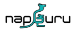 NapGuru Coupon Codes