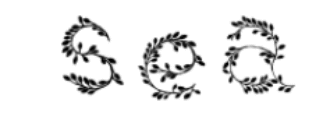 Sea NY Coupon Codes