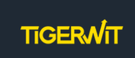 TigerWit Coupon Codes