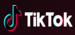TikTokFamous Coupon Codes