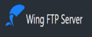 Wing FTP Server Coupon Codes